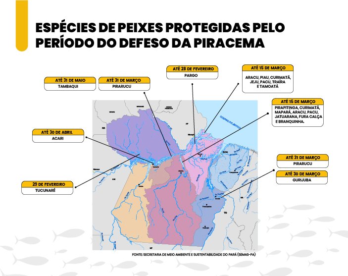 PerododapiracematrazrestriesparapescanoPar_0652606001721735683 Período da piracema traz restrições para pesca no Pará
